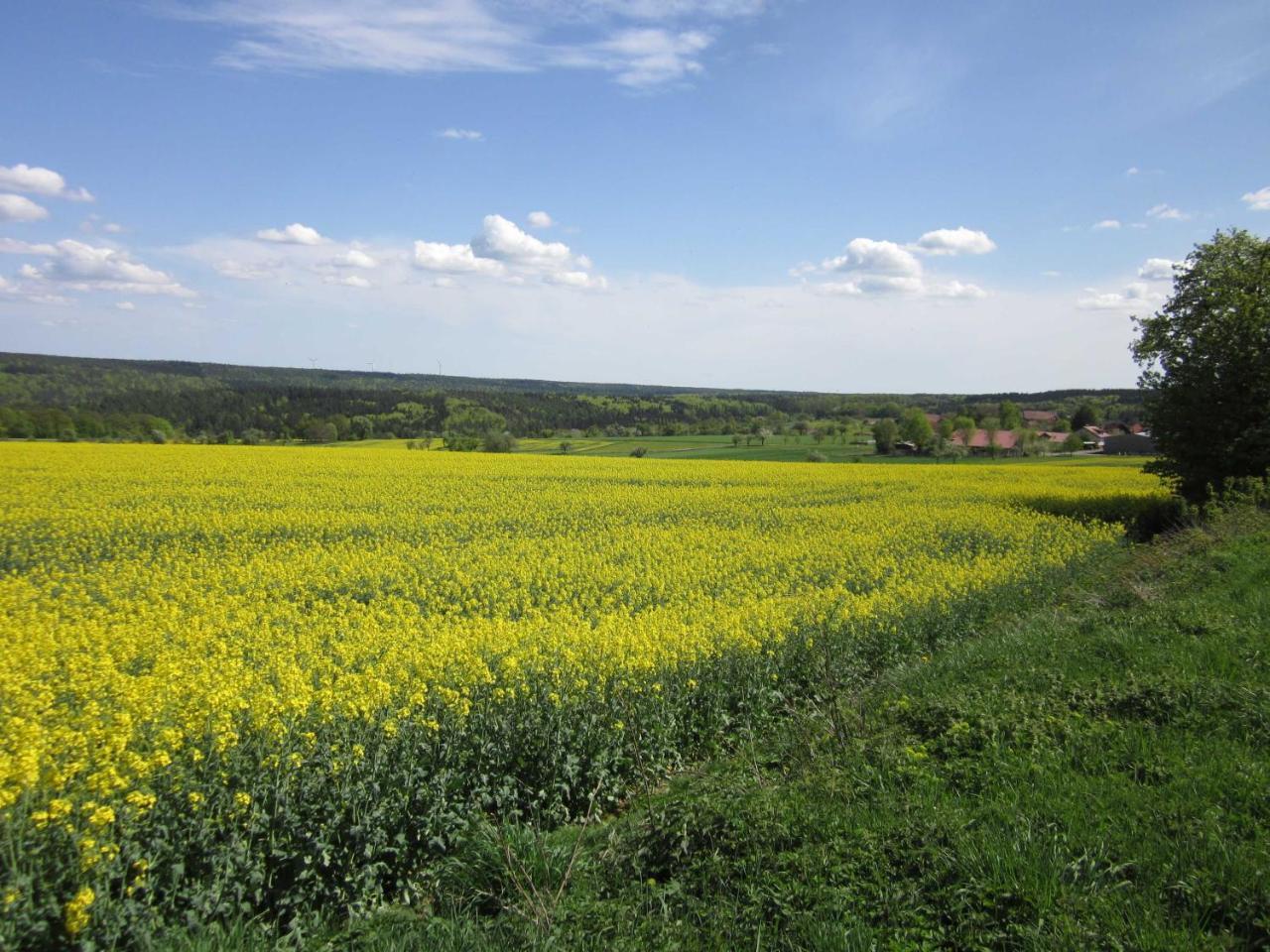 Blumenschein-Ferienwohnung Unne Kirchzell Dış mekan fotoğraf